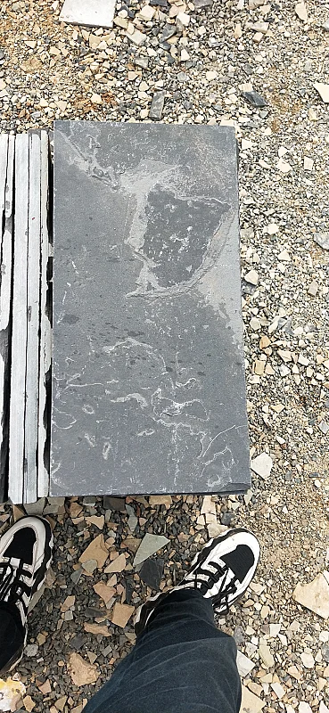 20 X 40 Mazeras Slab (Brown, Black, Grey)