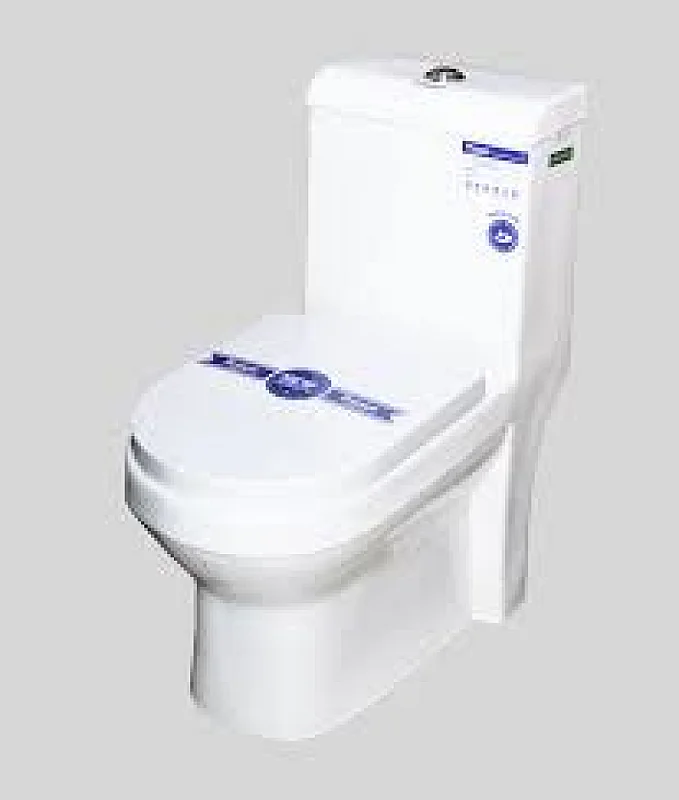 Frencia one body toilet