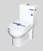 Frencia one body toilet